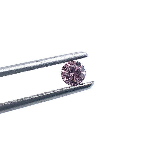 ROUND 21PT 6P SI2 358351 tweezer