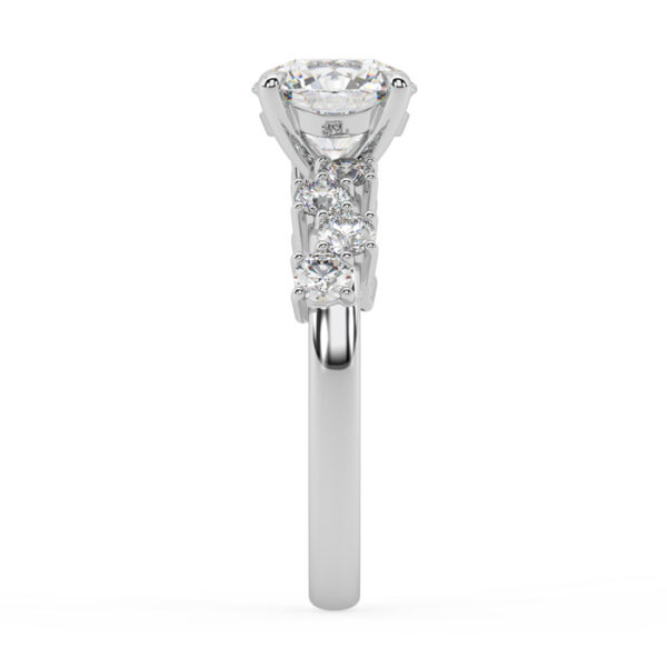 Round Diamond Engagement Ring with Scattered Diamond Band 4