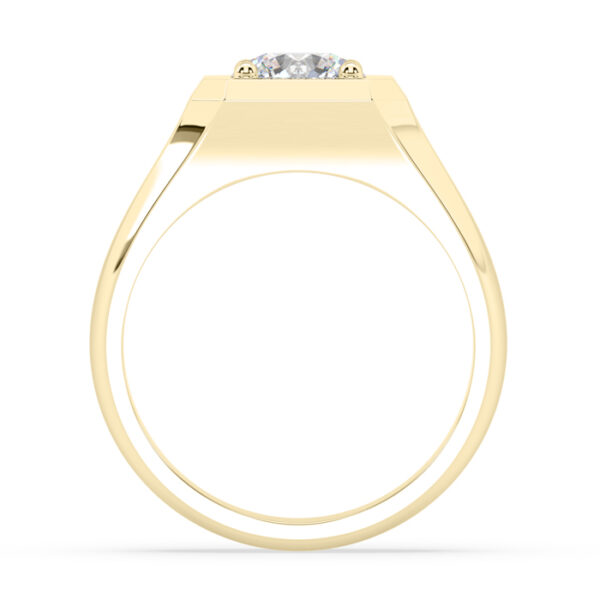 round diamond signet ring 2
