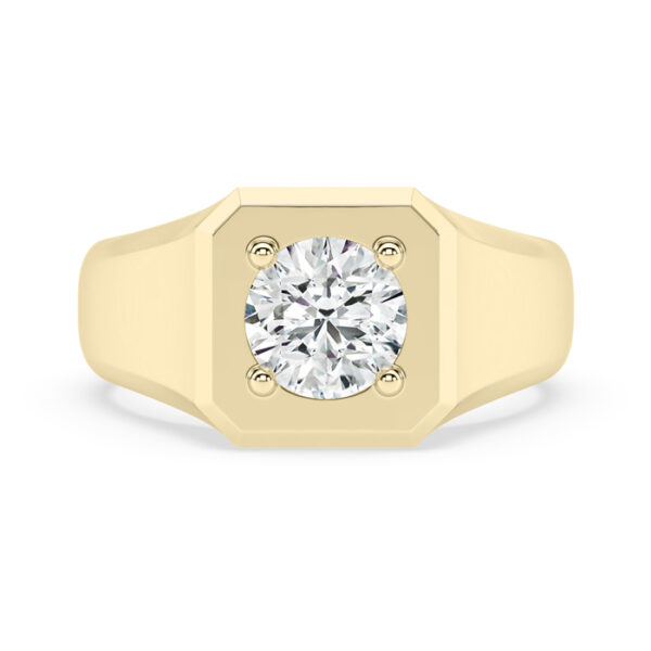 round diamond signet ring